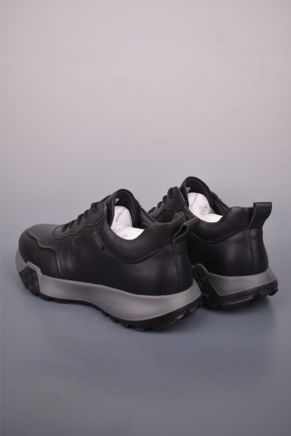 ECCO Biom view 2