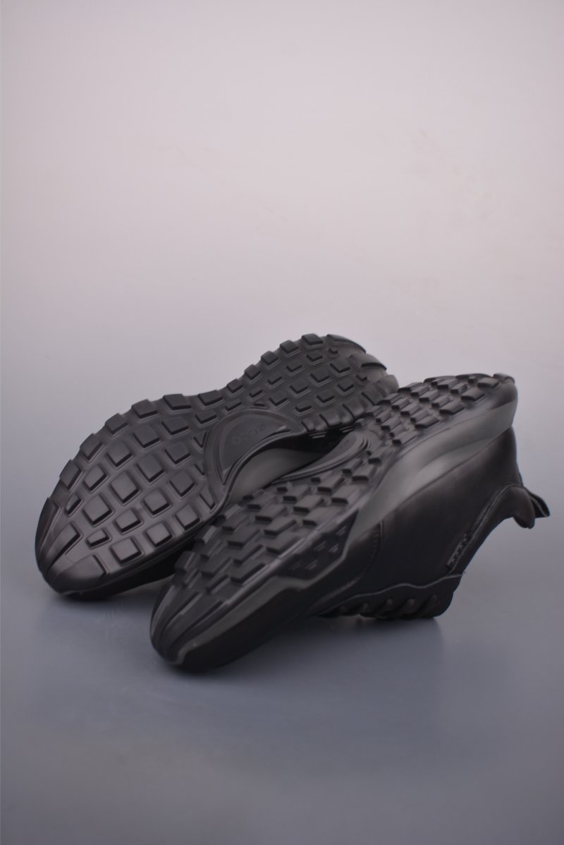 ECCO Biom view