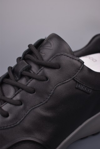 ECCO Biom view 7