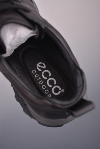 ECCO Biom view 9