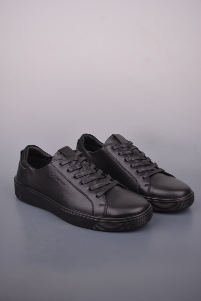 ECCO Biom