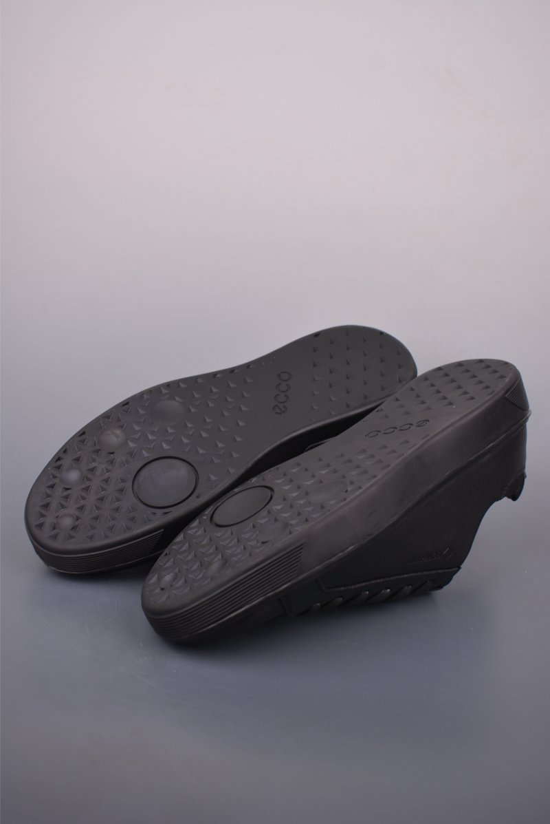 ECCO Biom view