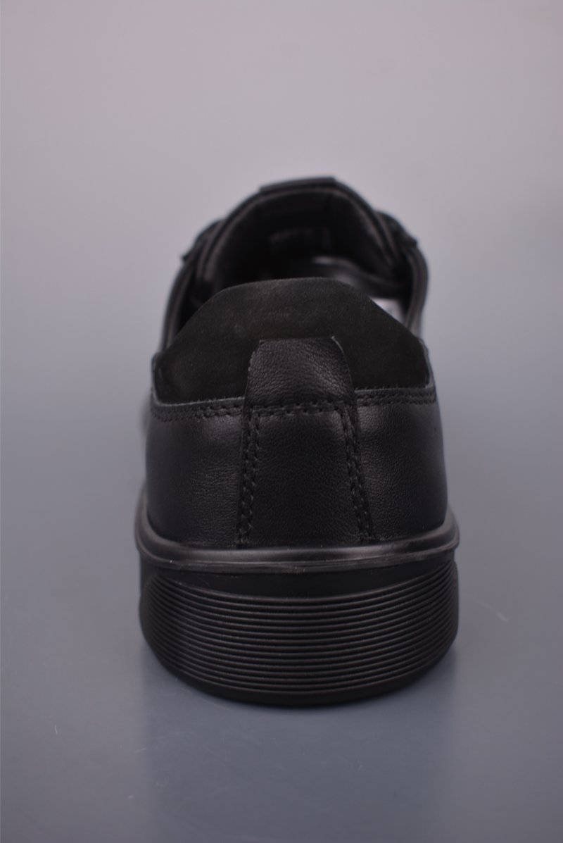 ECCO Biom view