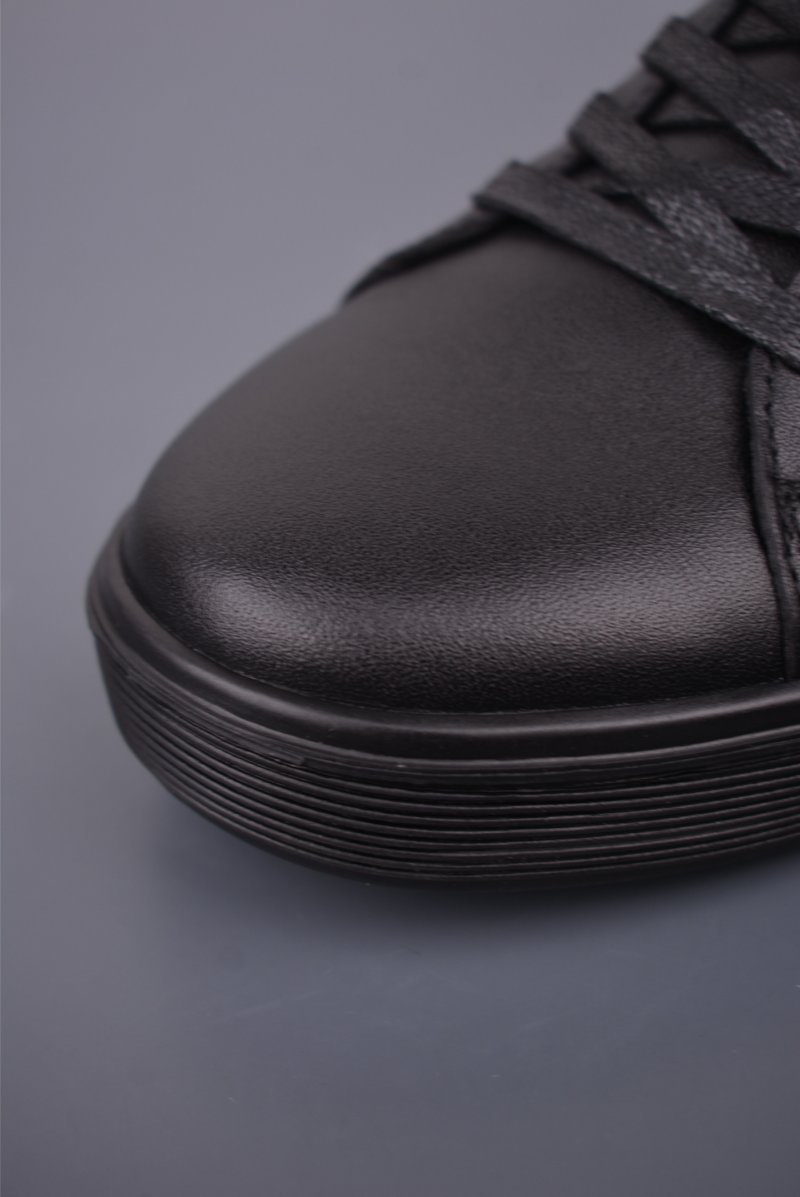 ECCO Biom view