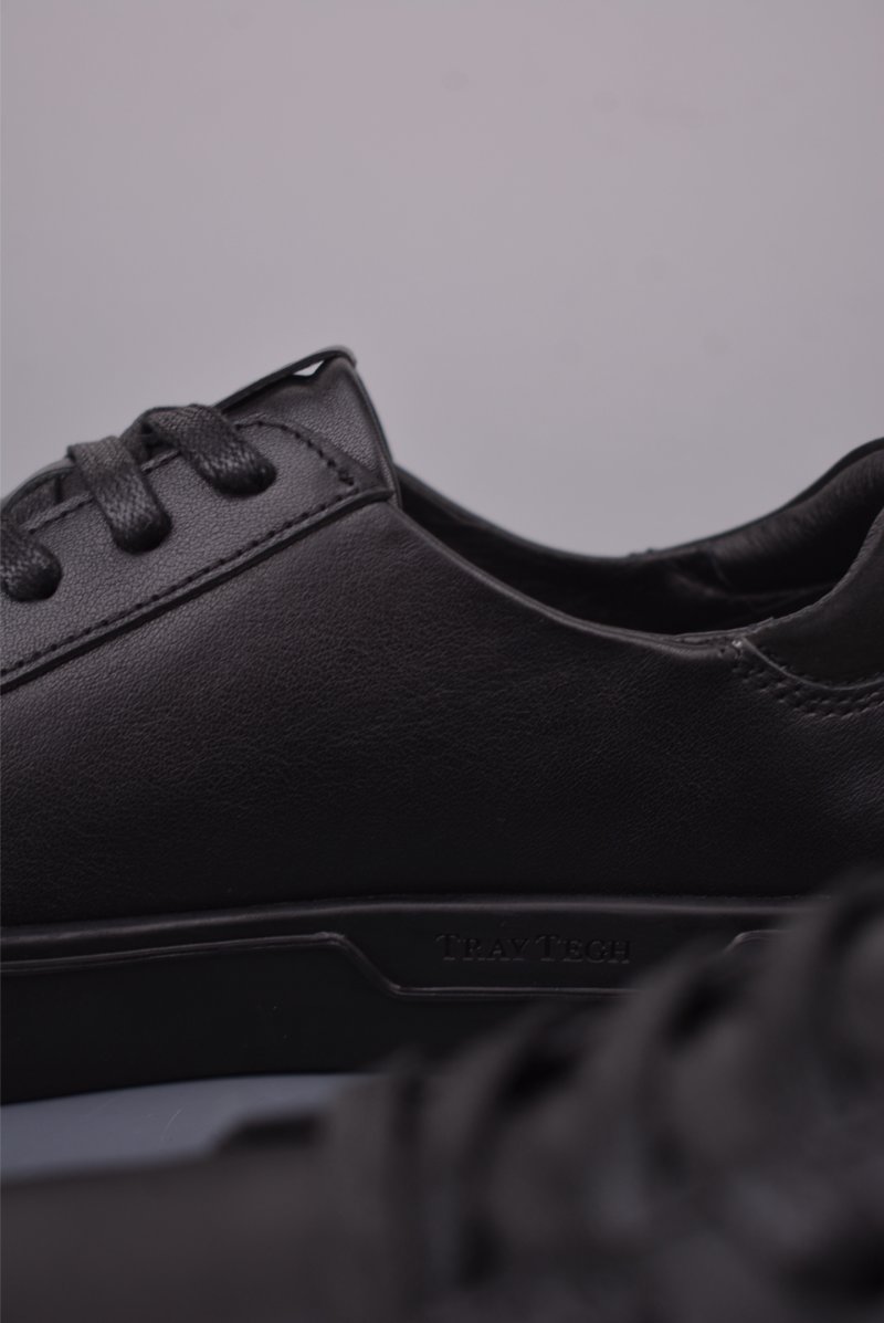 ECCO Biom view