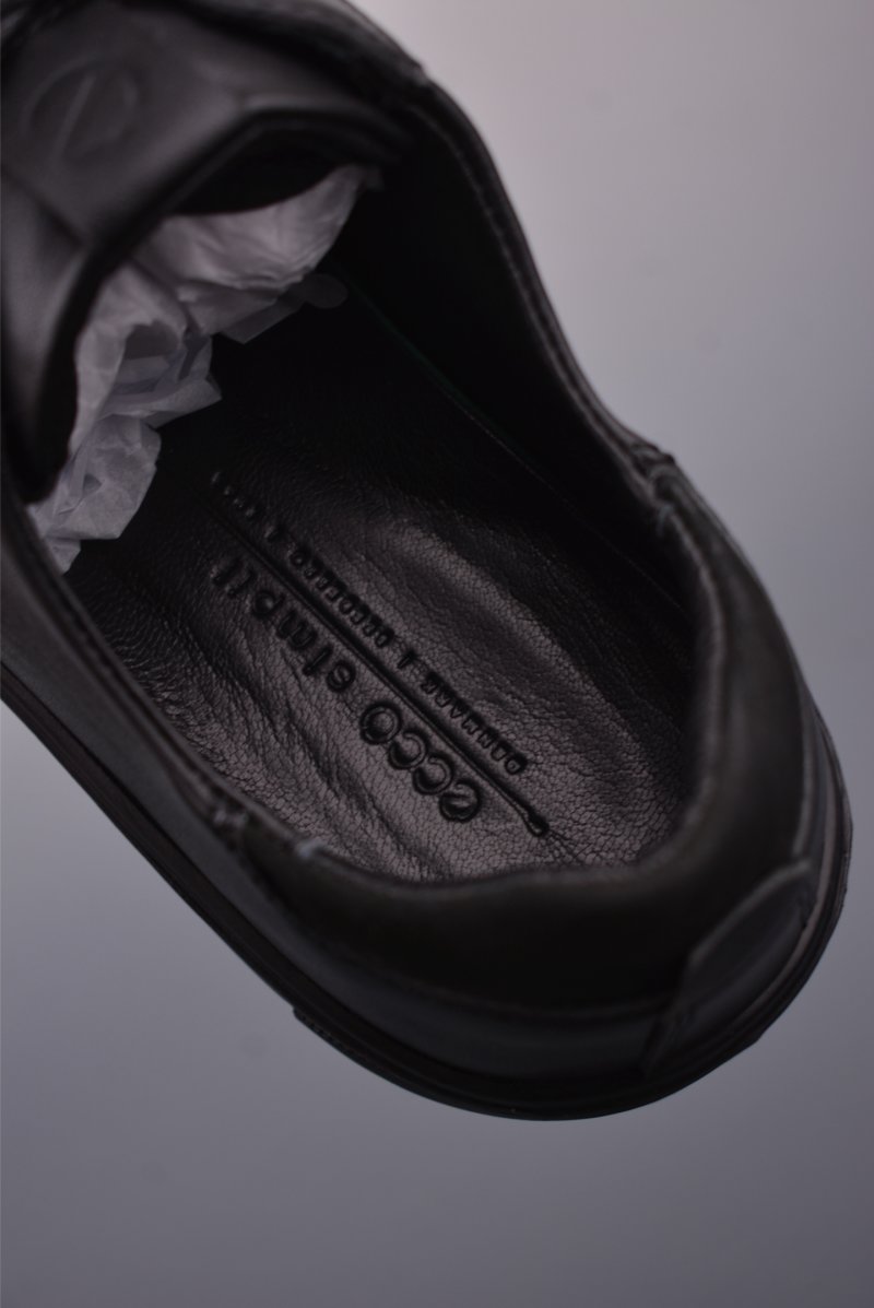 ECCO Biom view