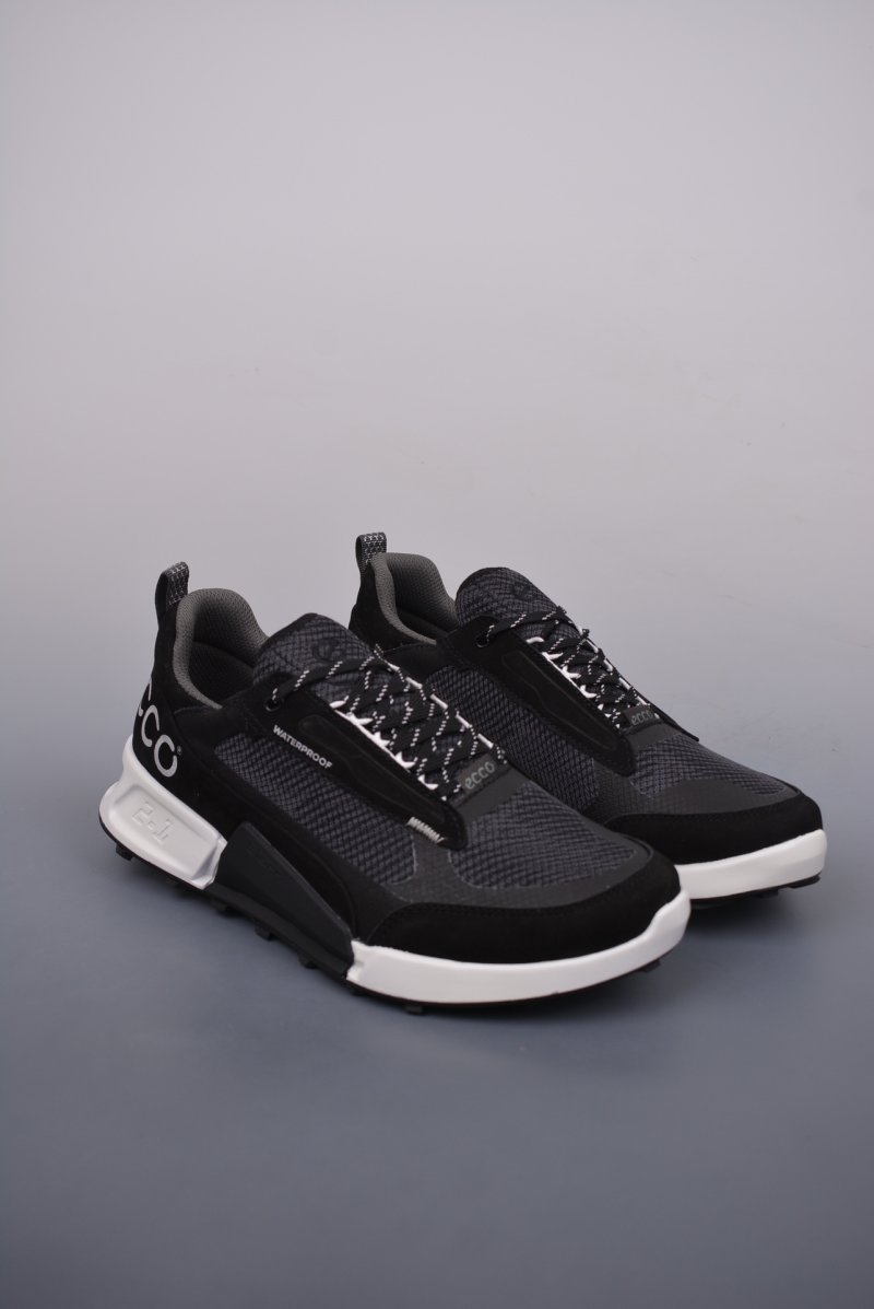 ECCO Biom