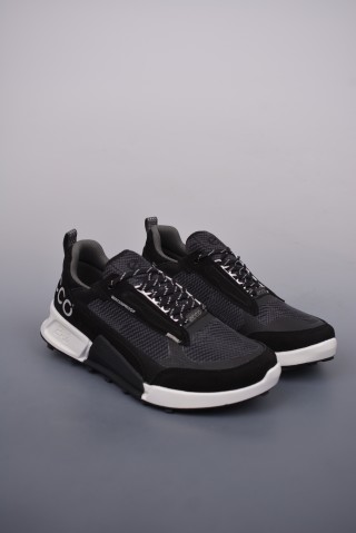 ECCO Biom view 1