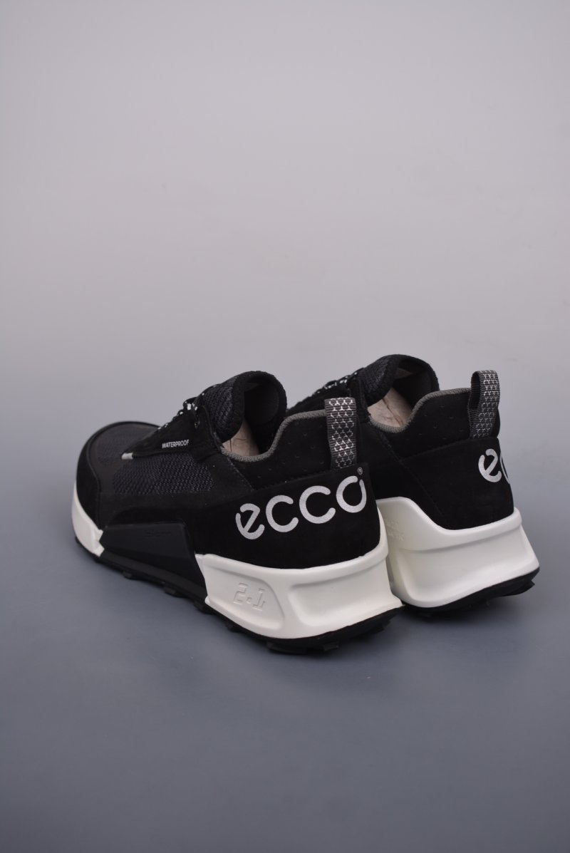 ECCO Biom view