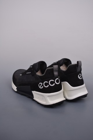 ECCO Biom view 2