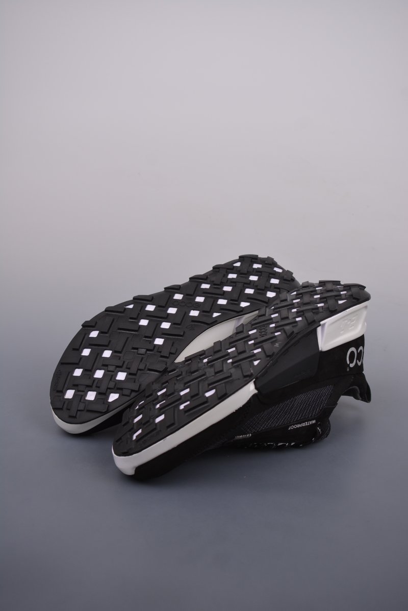 ECCO Biom view