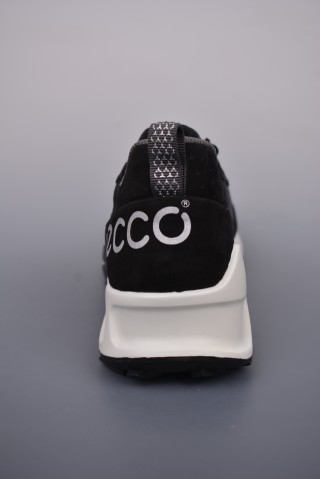 ECCO Biom view 4