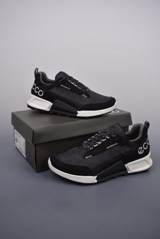 ECCO Biom view 5