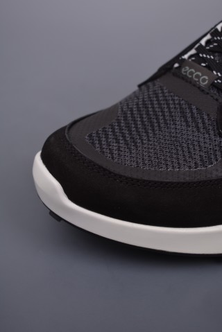 ECCO Biom view 6