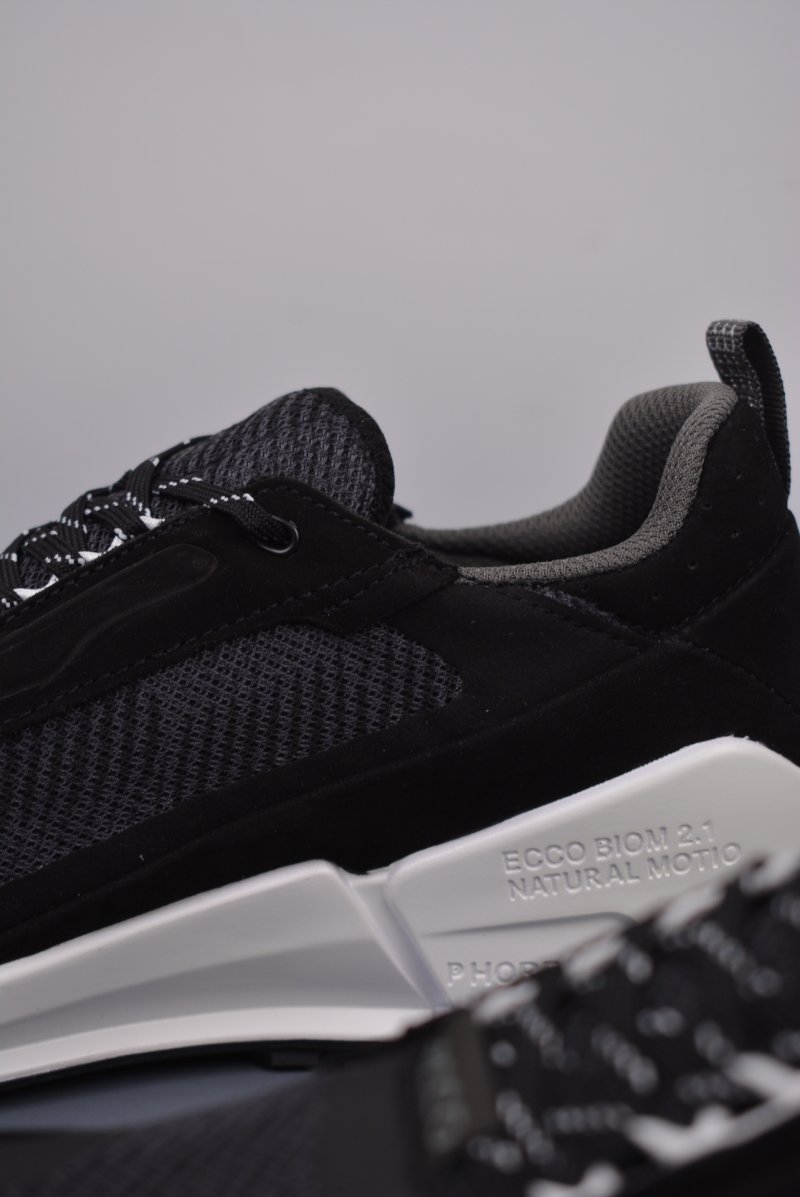 ECCO Biom view