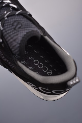 ECCO Biom view 9