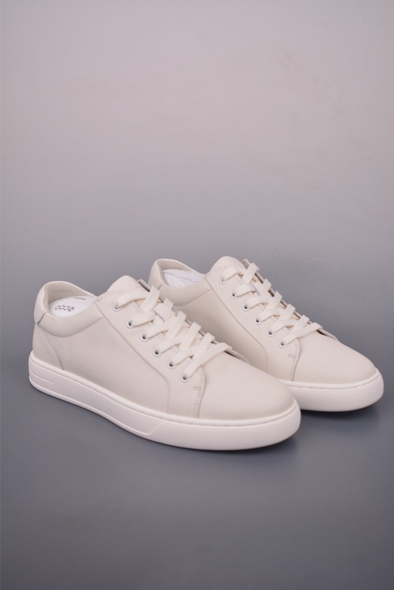 ECCO Biom