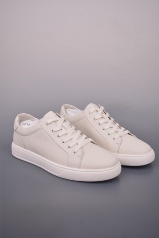 ECCO Biom view 1