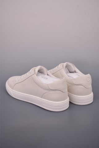 ECCO Biom view 2