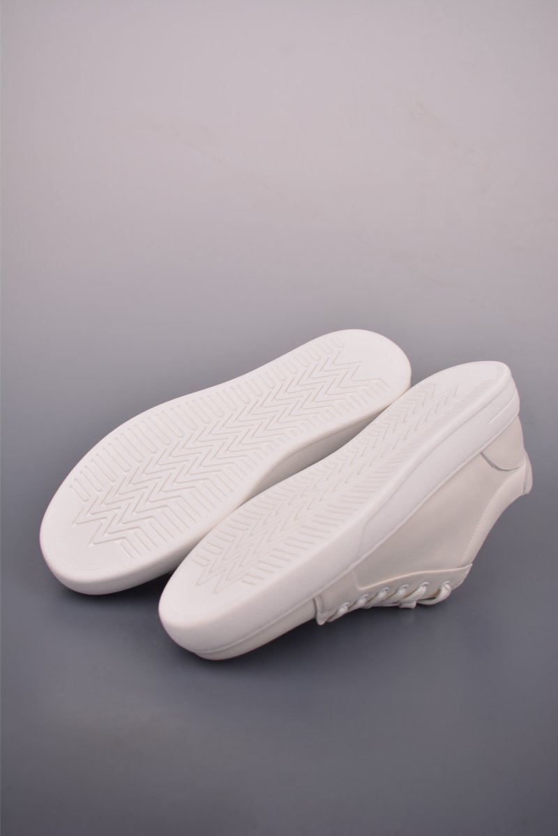 ECCO Biom view