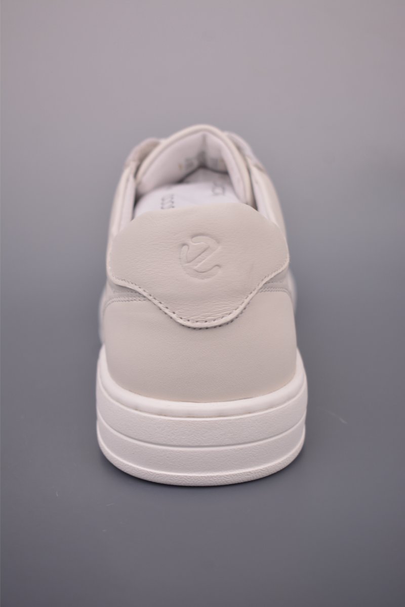ECCO Biom view