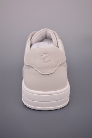 ECCO Biom view 4