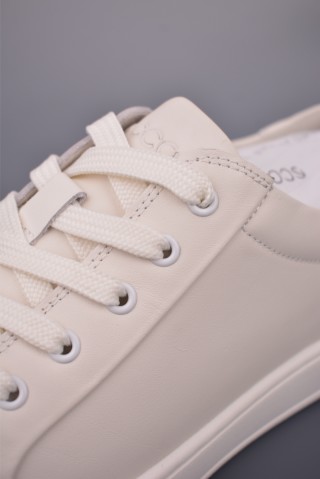 ECCO Biom view 7