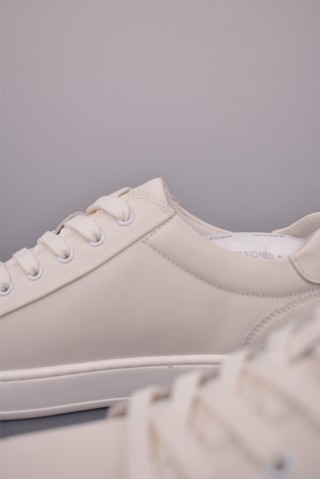 ECCO Biom view 8