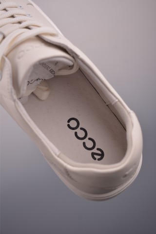 ECCO Biom view 9