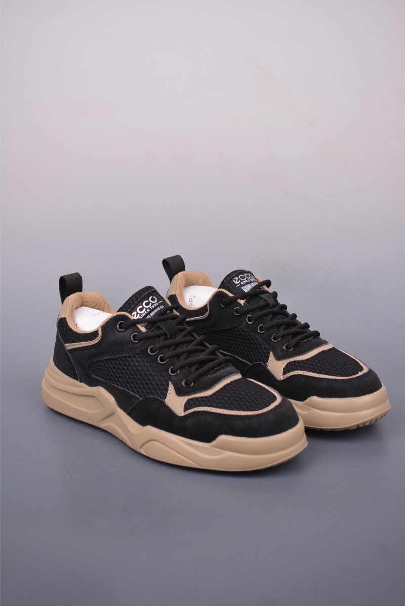ECCO Biom