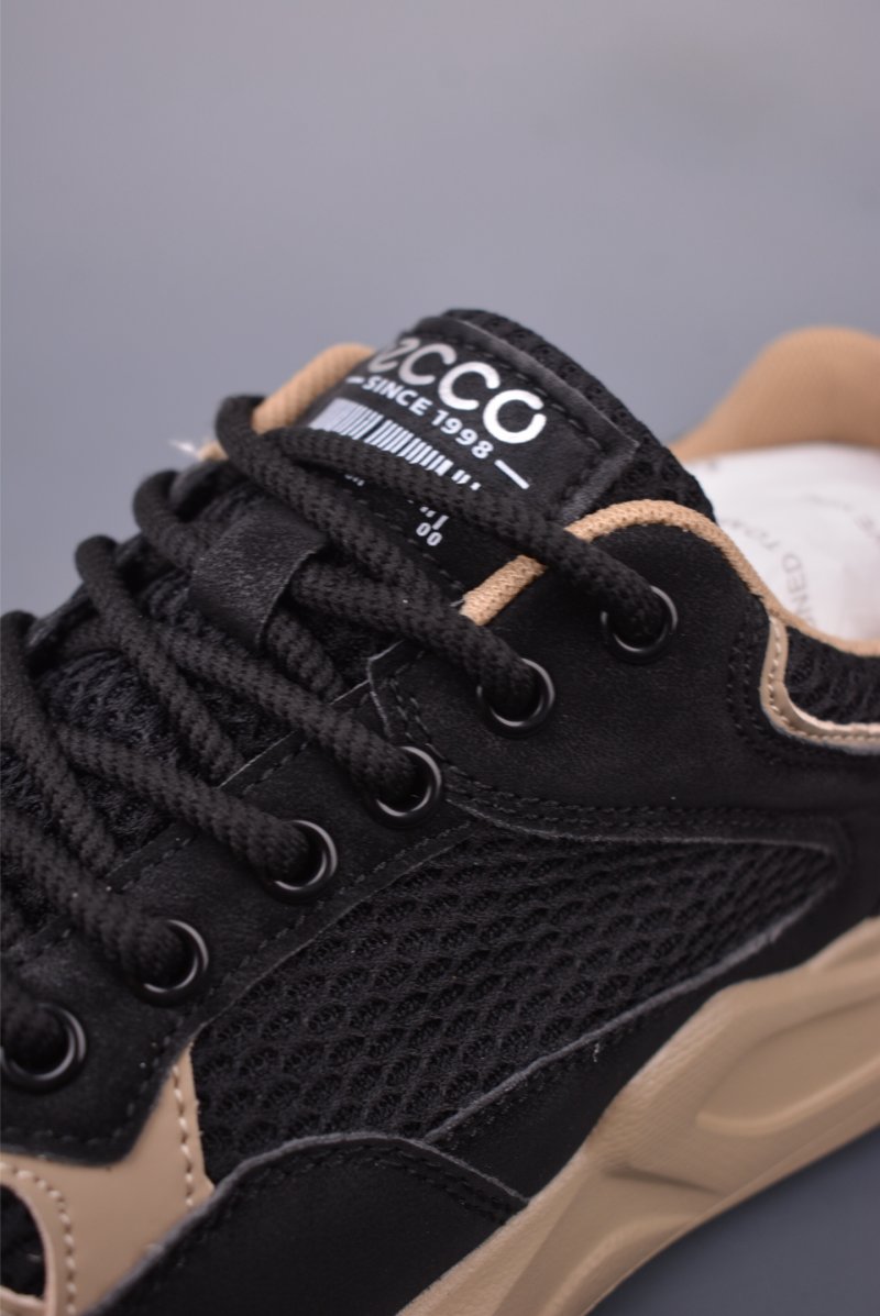 ECCO Biom view