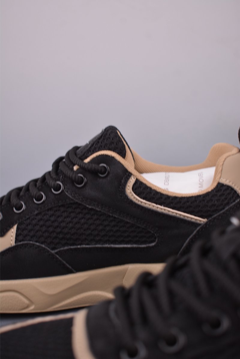 ECCO Biom view