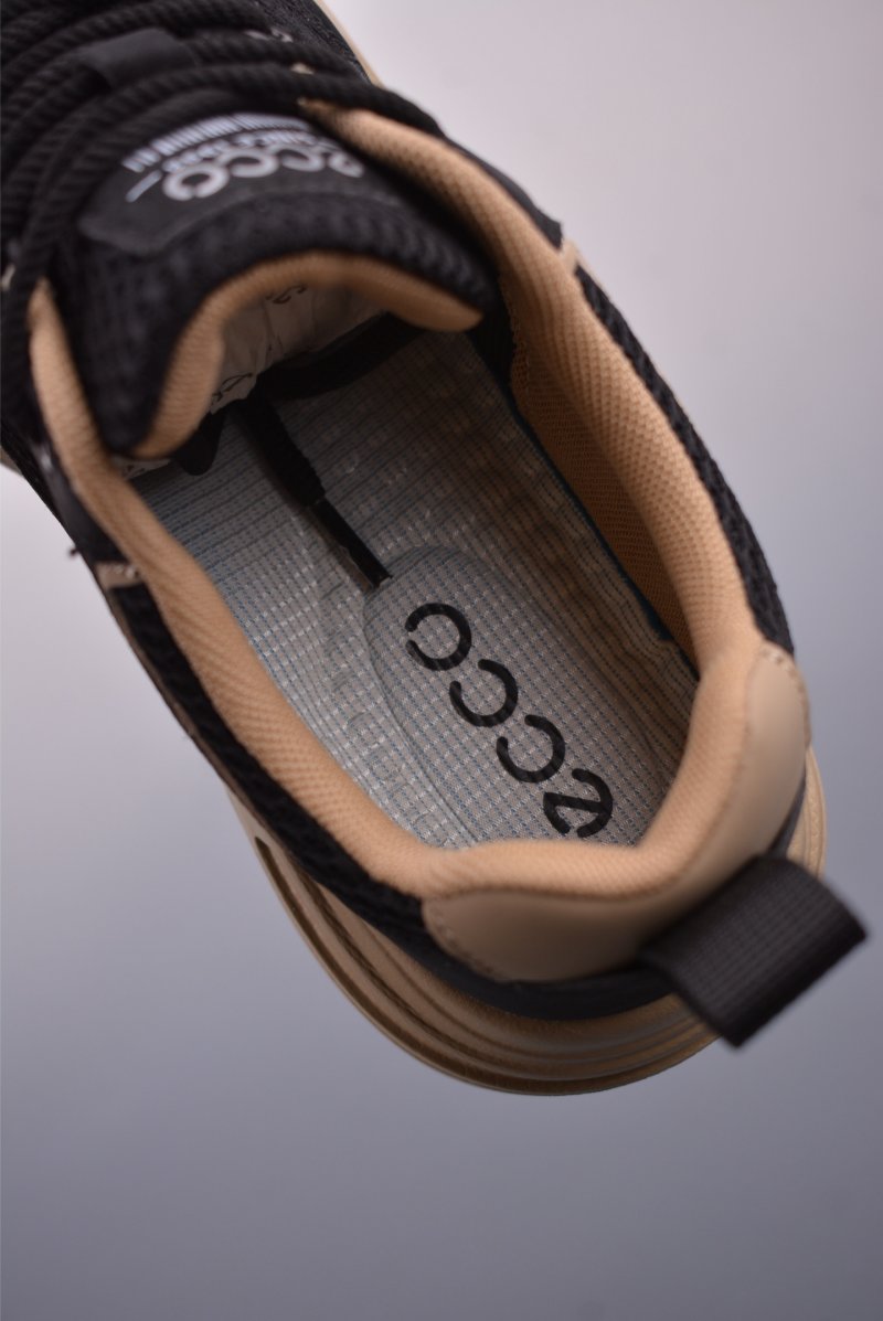 ECCO Biom view