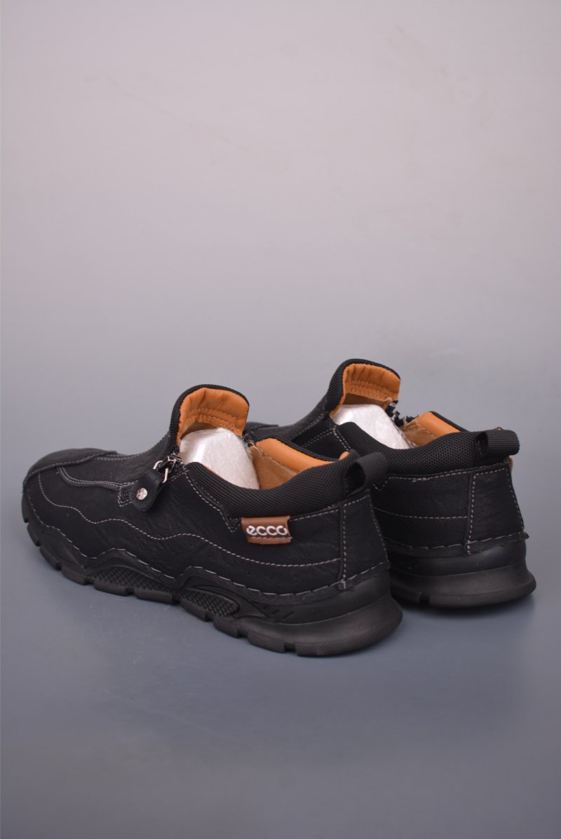 ECCO Biom view