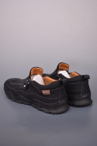 ECCO Biom view 2
