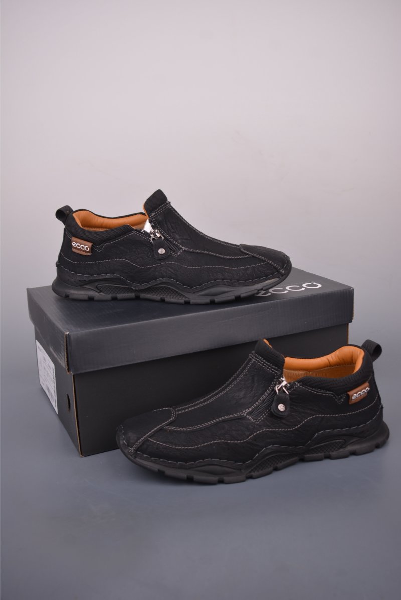 ECCO Biom view