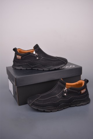 ECCO Biom view 5