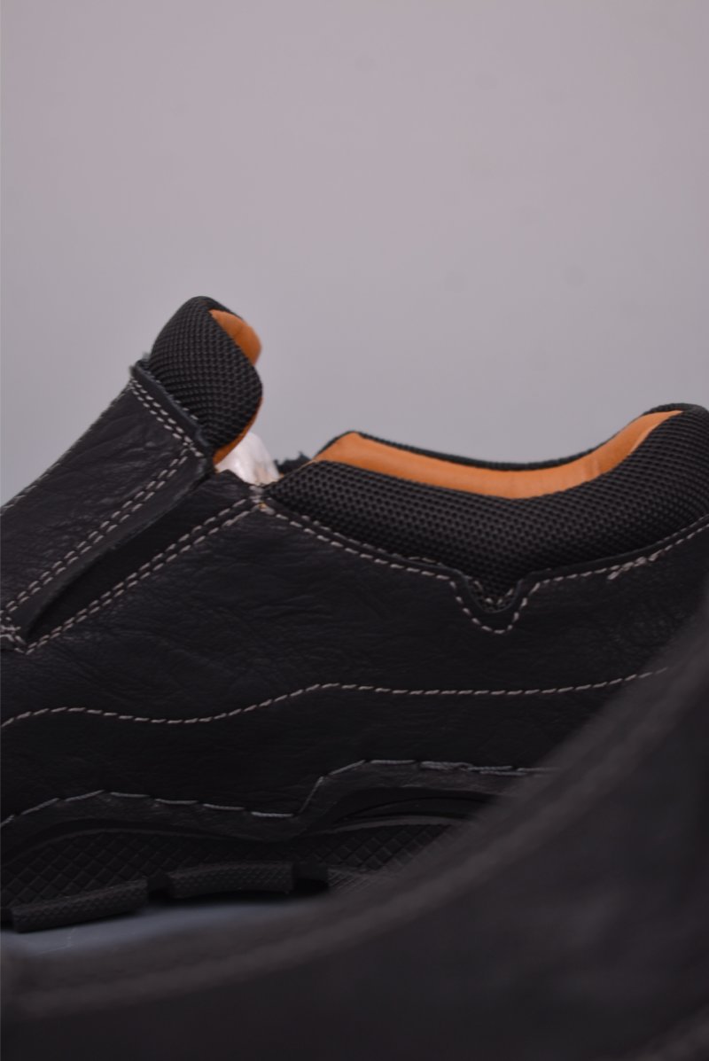 ECCO Biom view