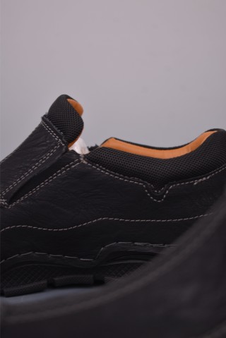 ECCO Biom view 8