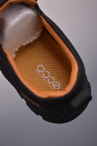 ECCO Biom view 9