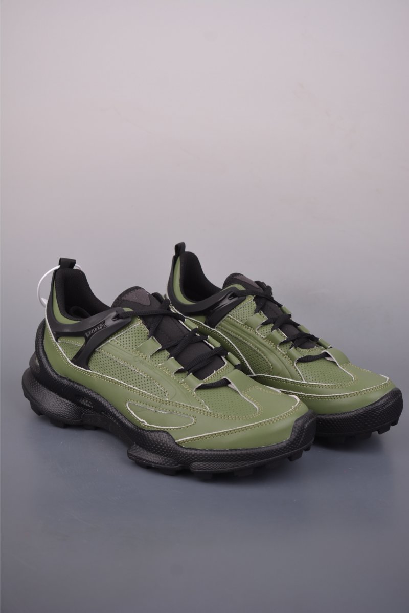 ECCO Biom