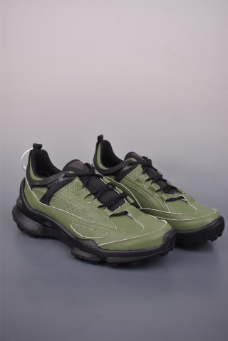 ECCO Biom view 1