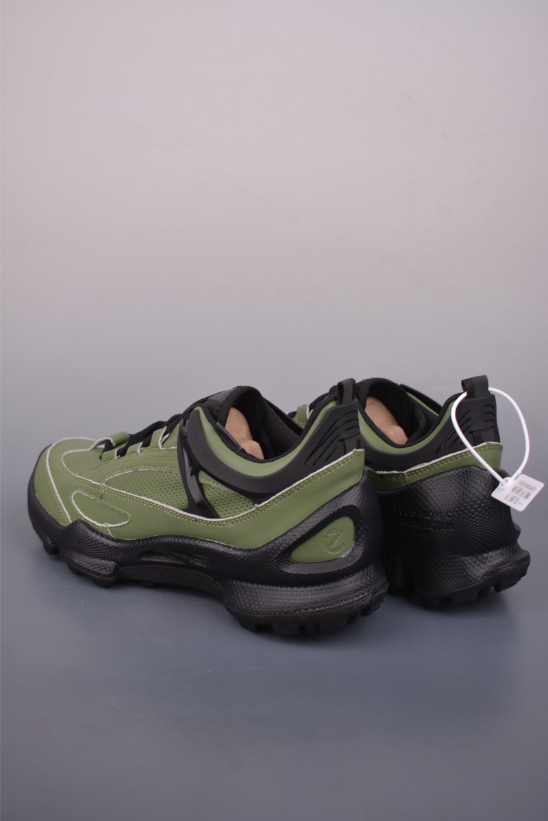 ECCO Biom view