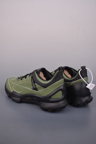 ECCO Biom view 2