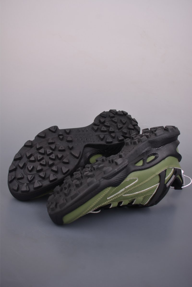 ECCO Biom view
