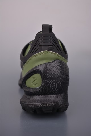 ECCO Biom view 4