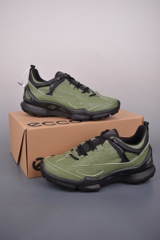 ECCO Biom view 5