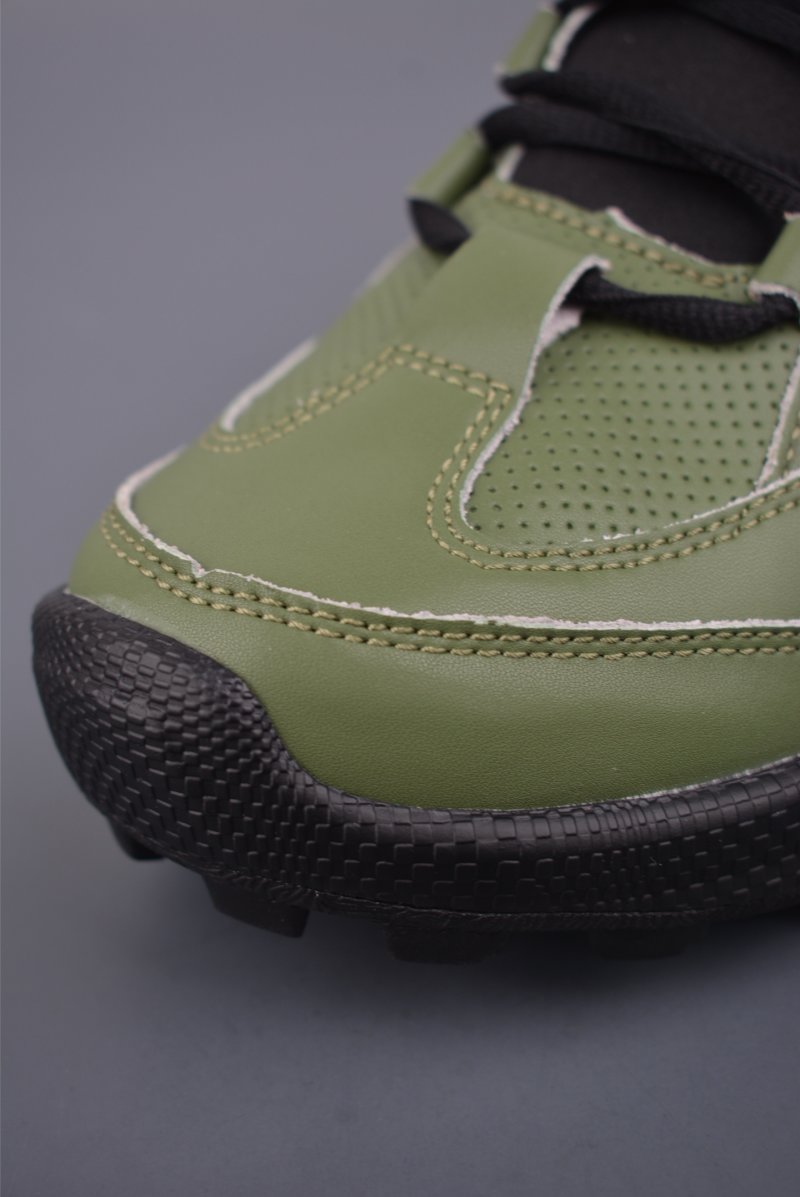 ECCO Biom view
