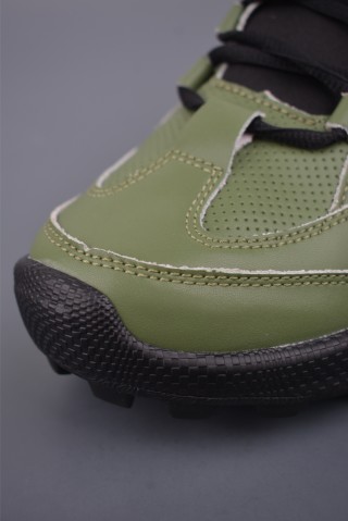 ECCO Biom view 6