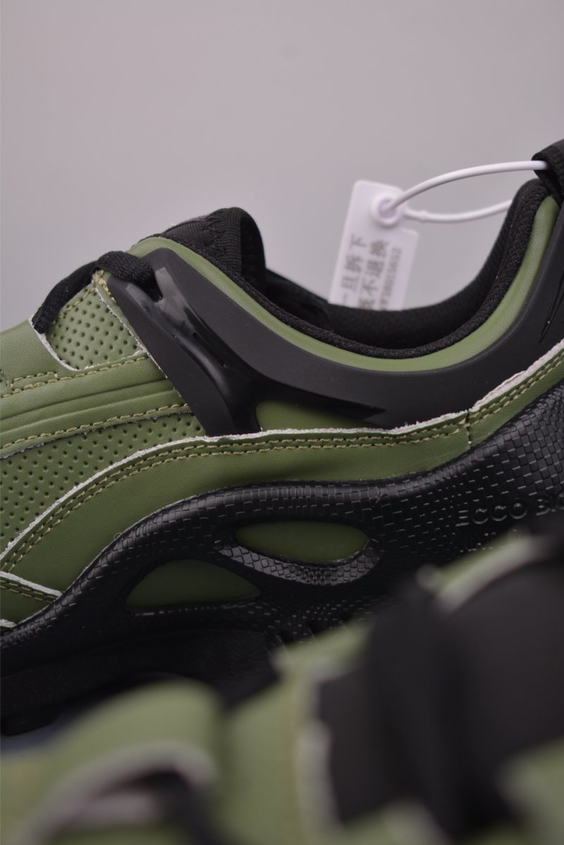 ECCO Biom view